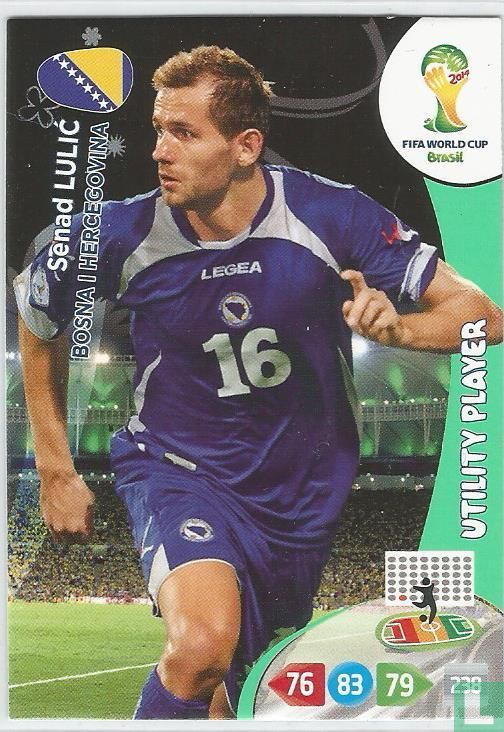 Senad Lulic