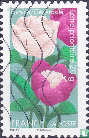 Blumen Gruß