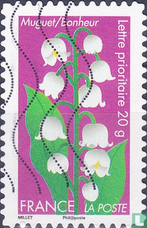 Blumen Gruß