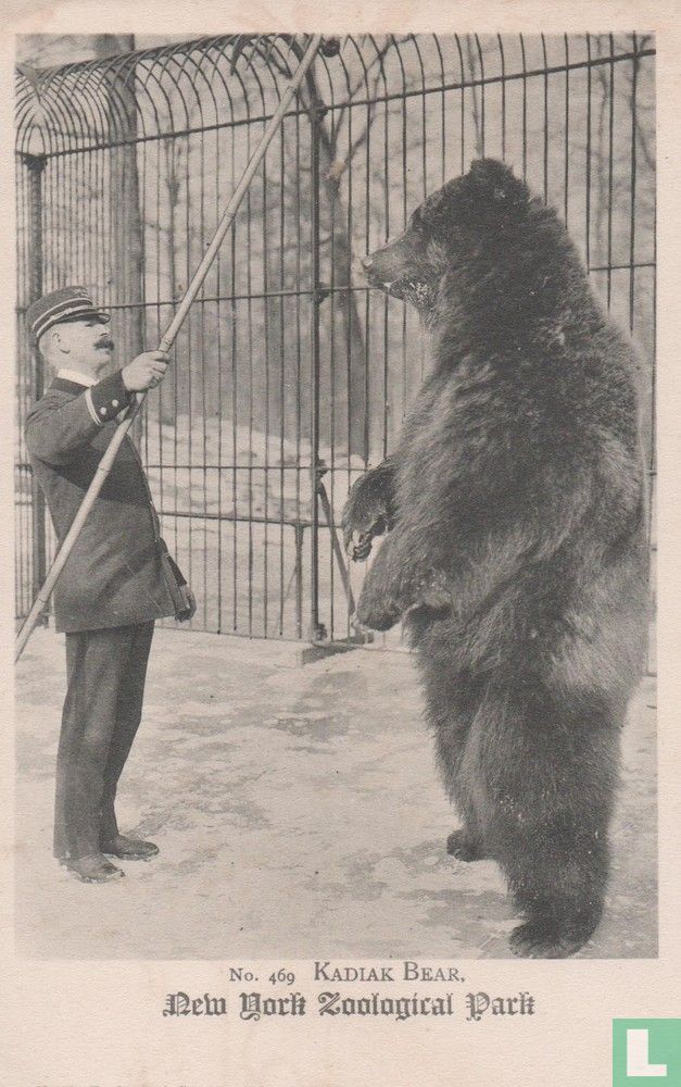 Kadiak Bear
