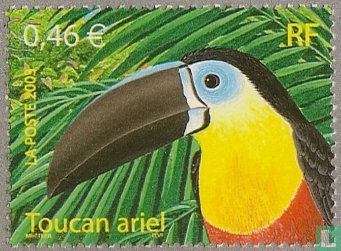 Overzeese vogels