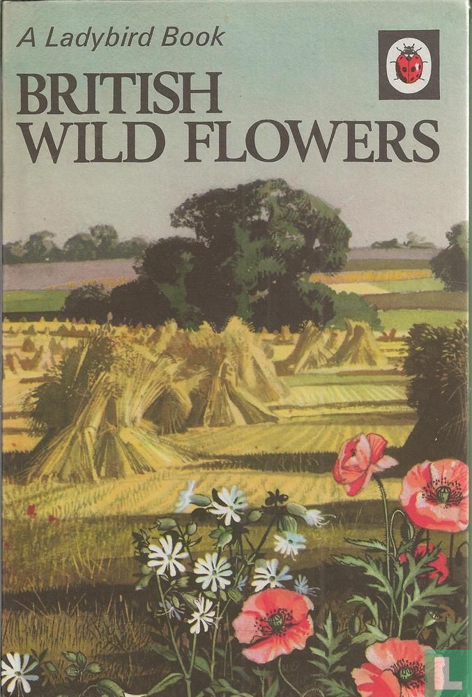 British wild flowers