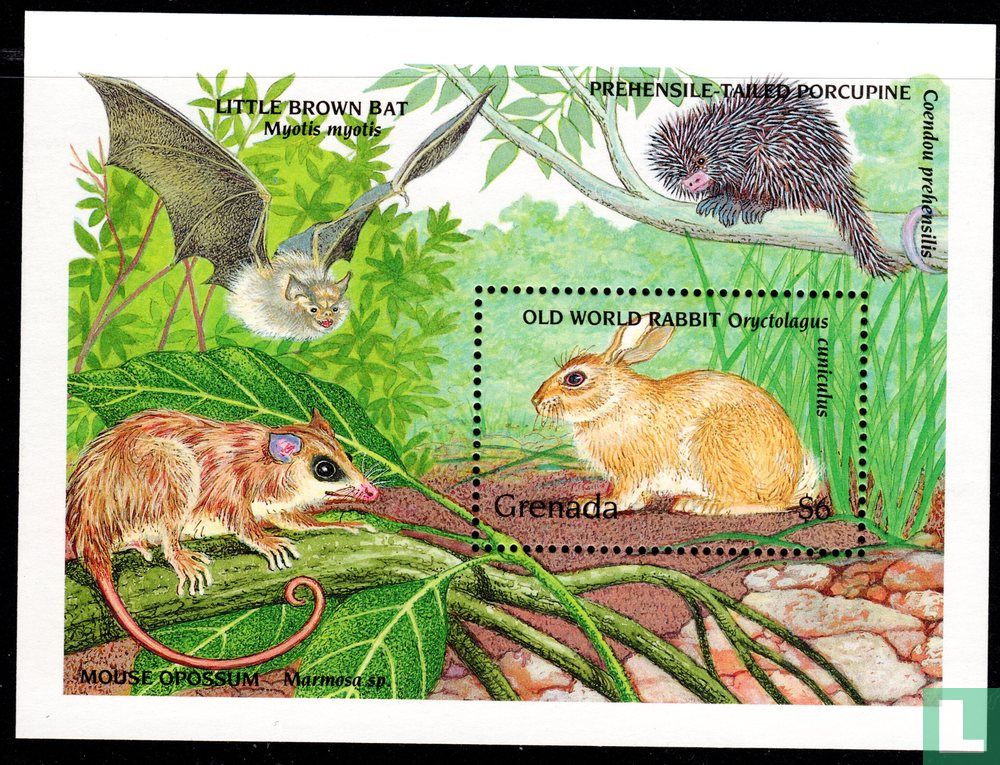 Fauna