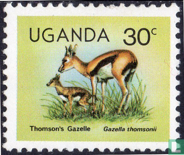 Thomsongazelle