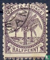 Kokospalmen