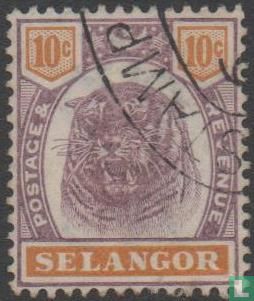 Tigerkopf