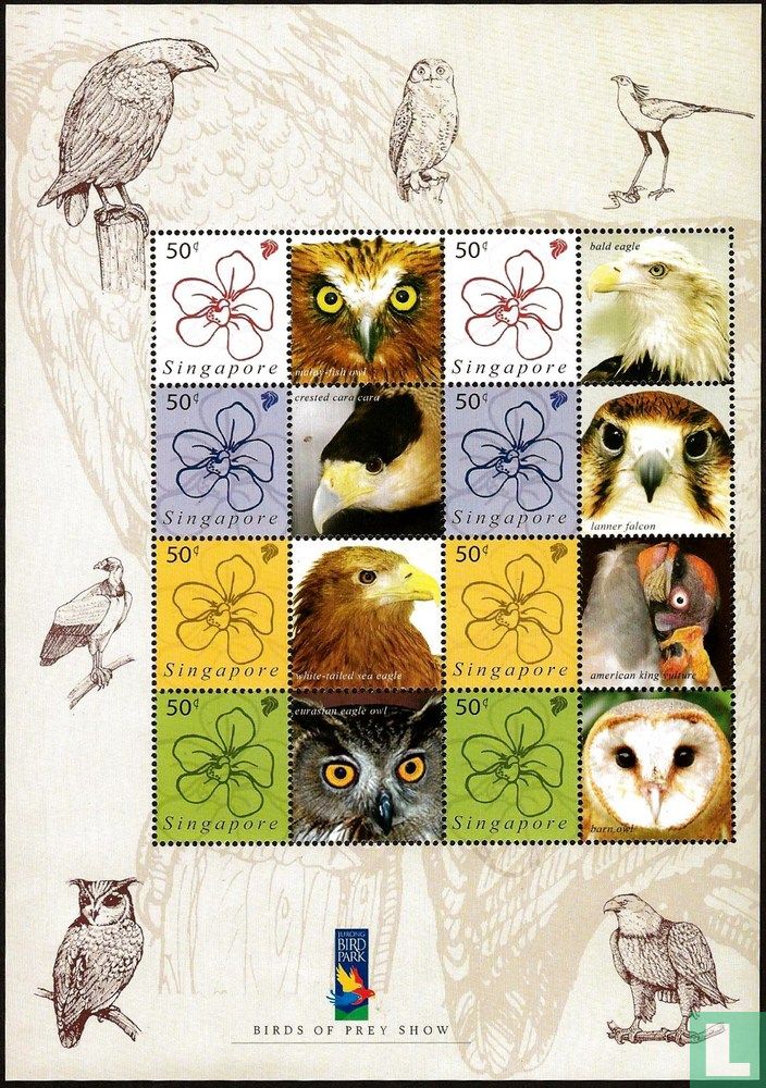 Oiseaux de proie