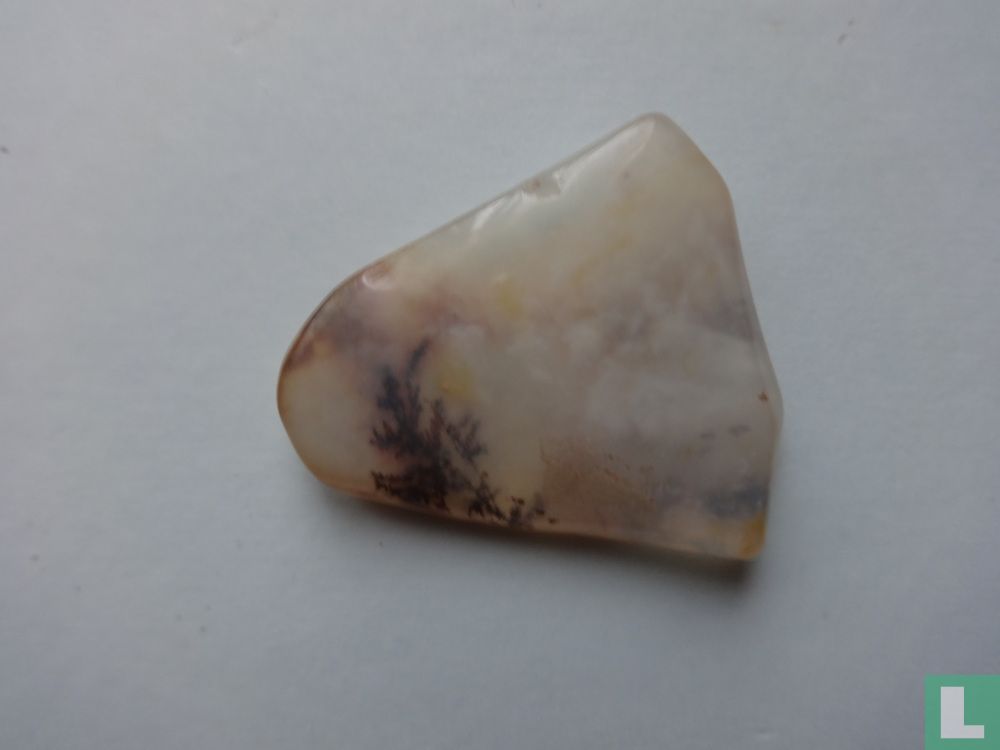 Entenopal