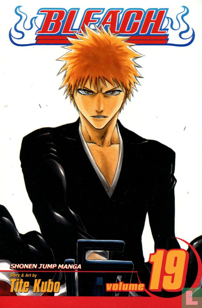 Bleach 19