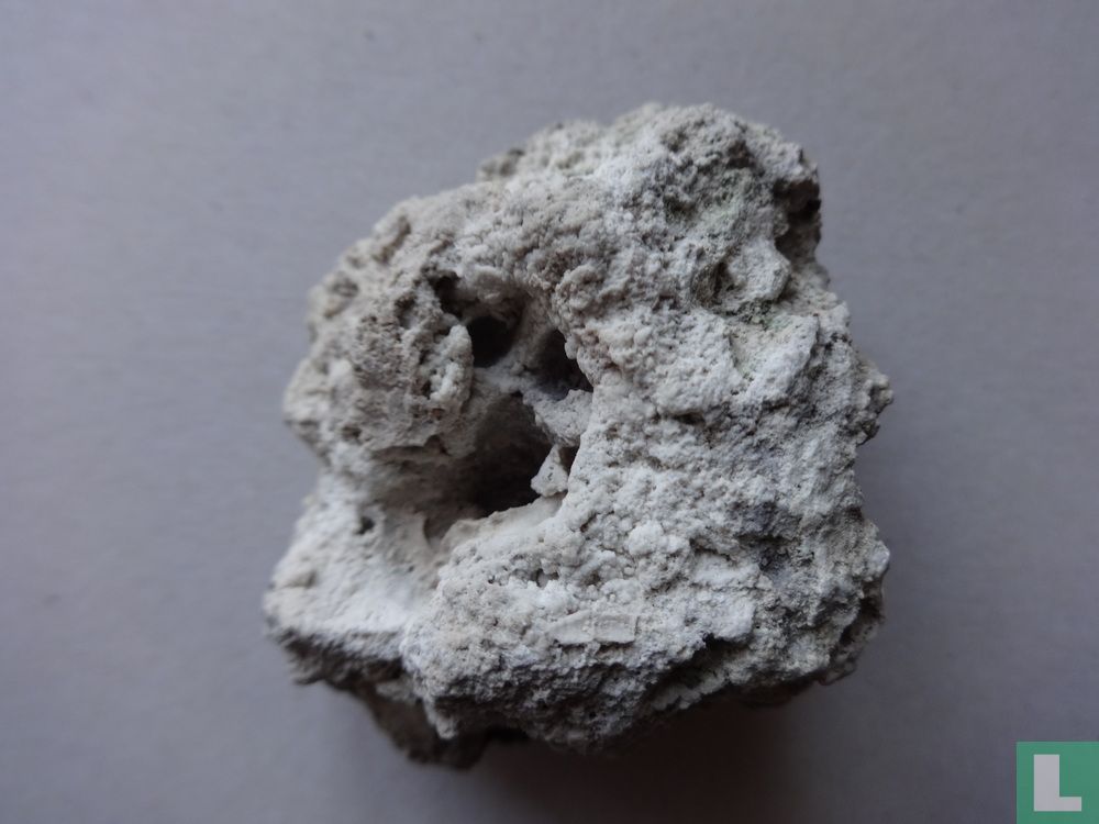 Gris corail petit