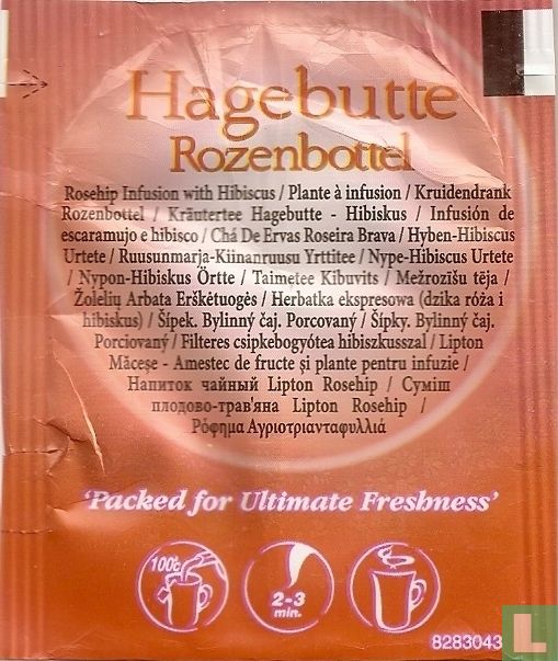 Rosehip Églantier