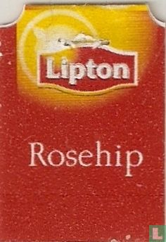 Rosehip Églantier