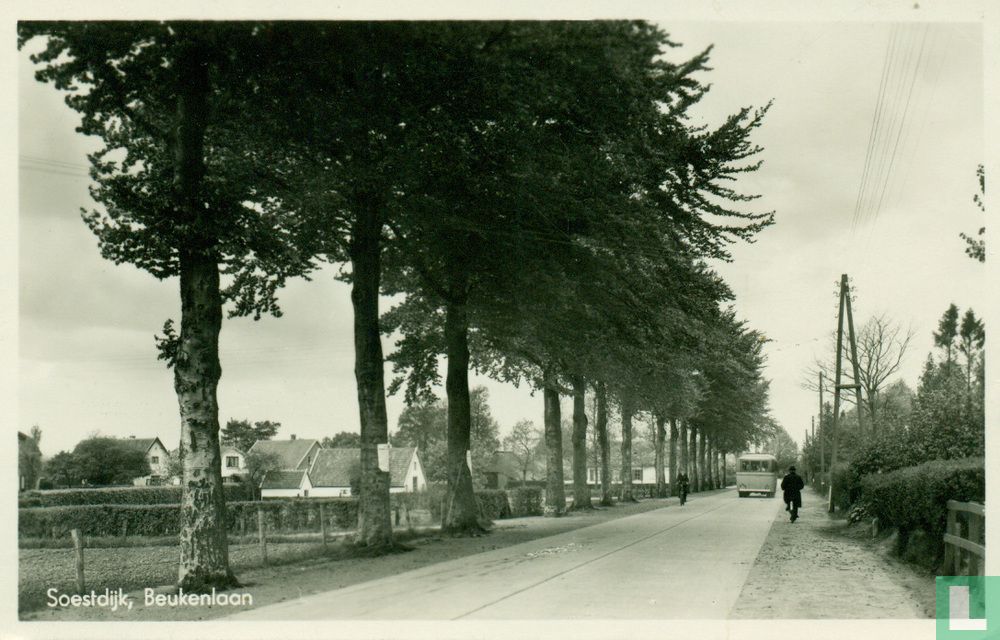 Soestdijk, Beukenlaan