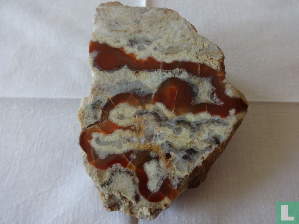 Agate Schlettwitzer