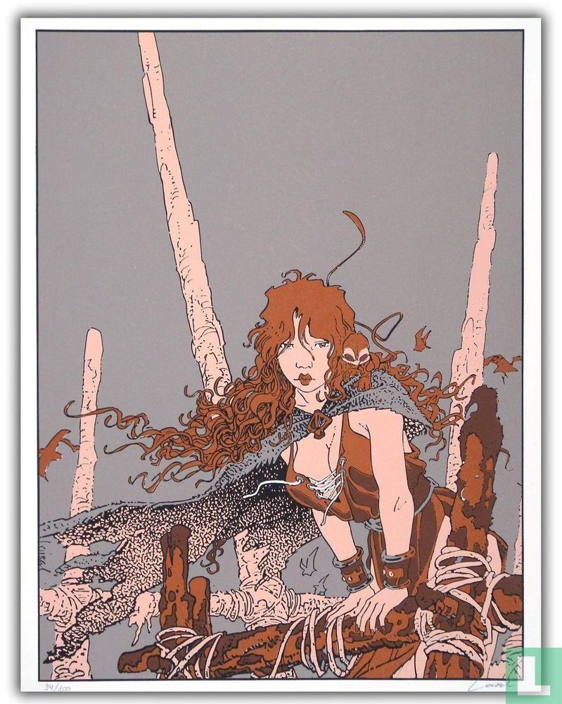 Pélisse