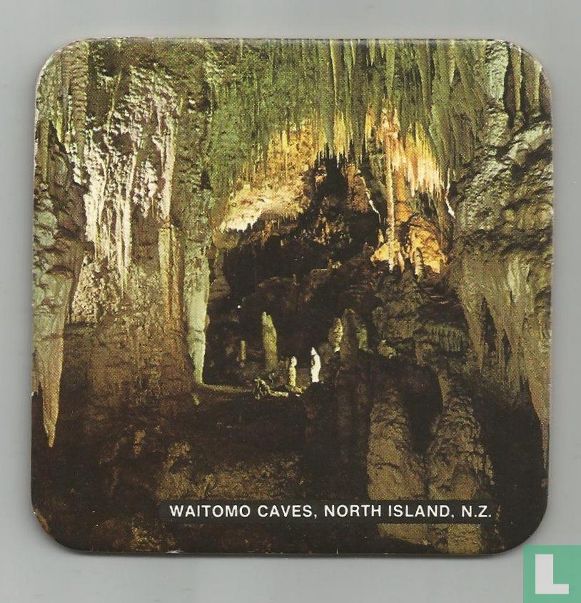 Waitomo caves 
