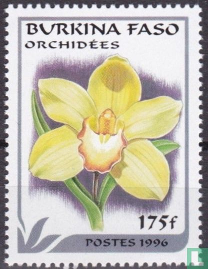 Orchid