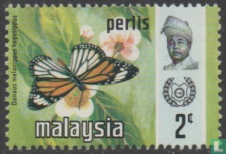 Papillons