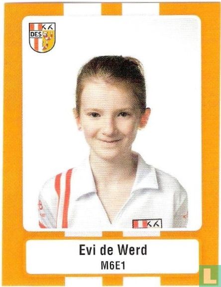 M6E1 - Evi de Werd