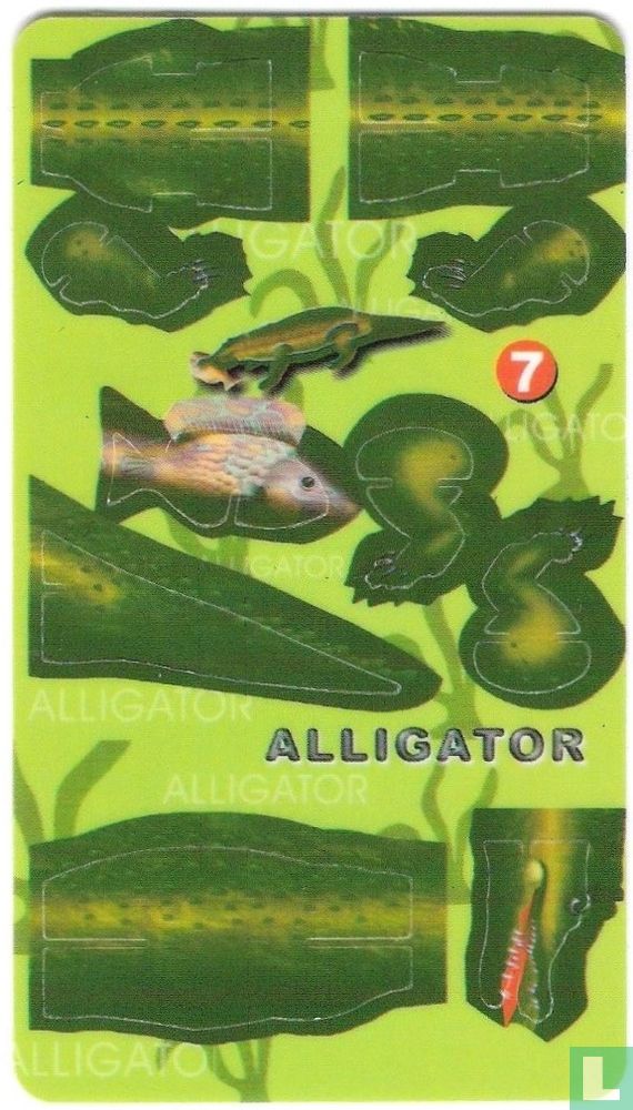 Aligator (Crocodile)