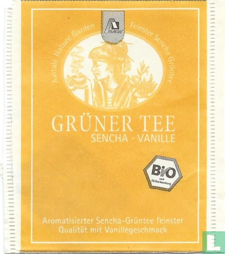 Grüner Tee Sencha - Vanille