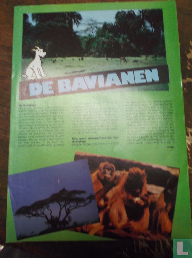 Der Pavian