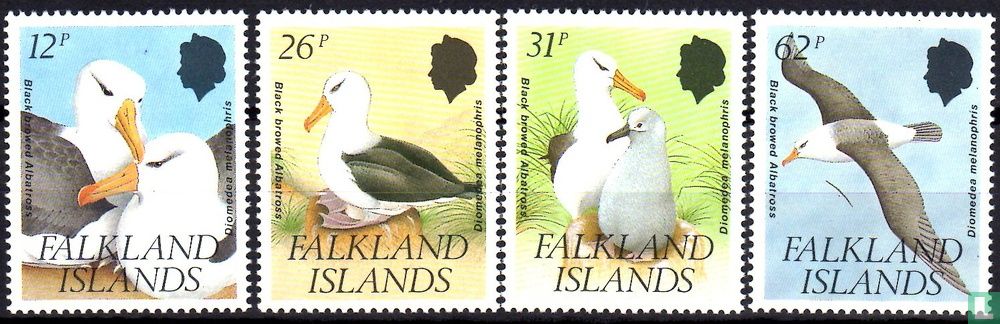 Birds