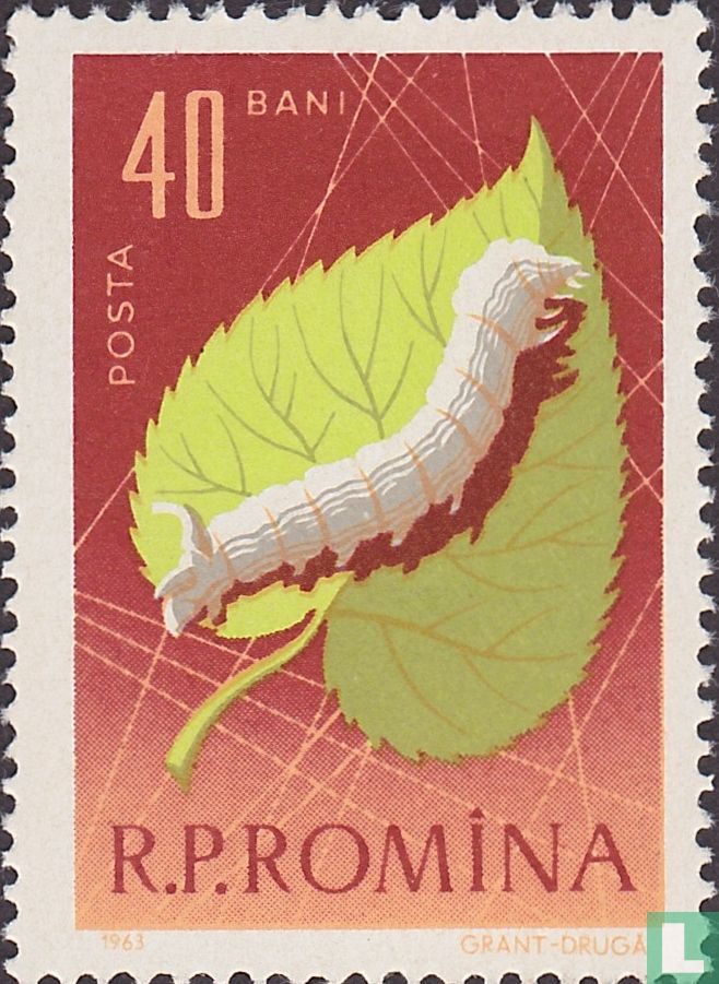 Insects