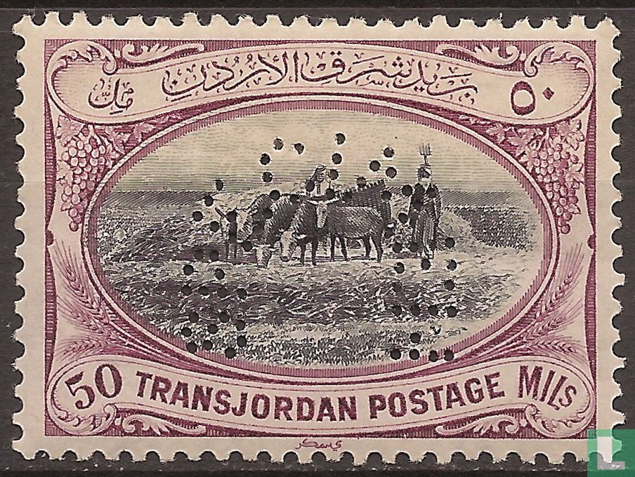 Transport de boeufs