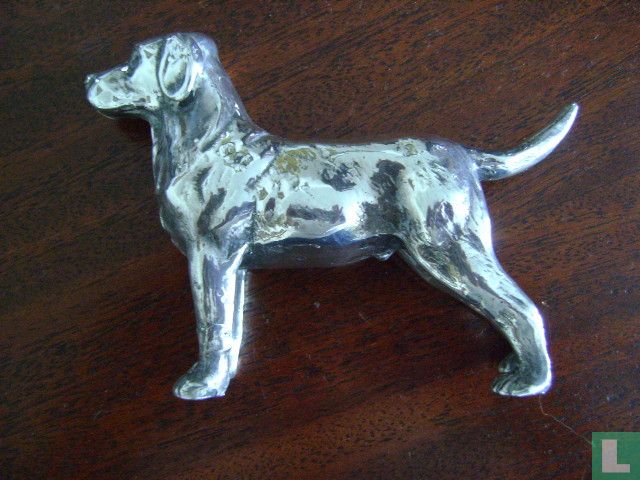 Chien