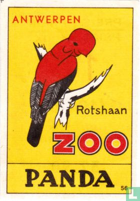 Rotshaan