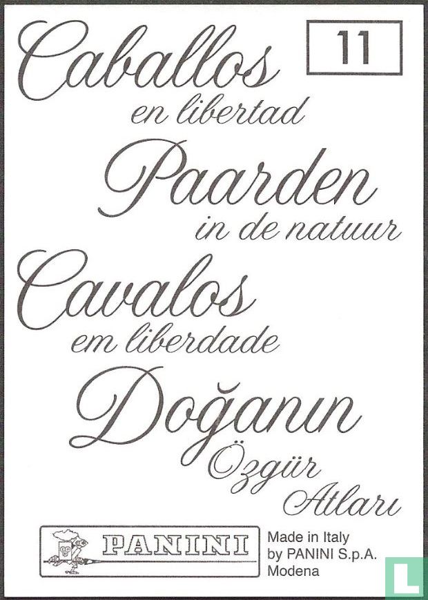 Paard
