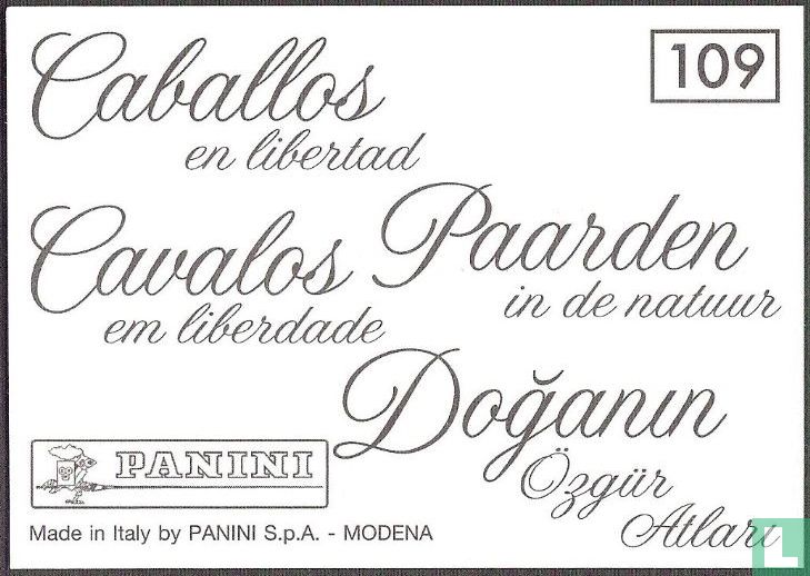 Paarden