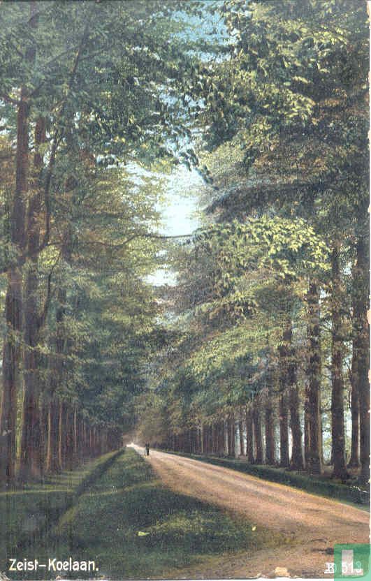 Koelaan
