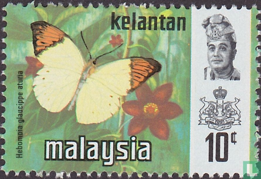 Papillons