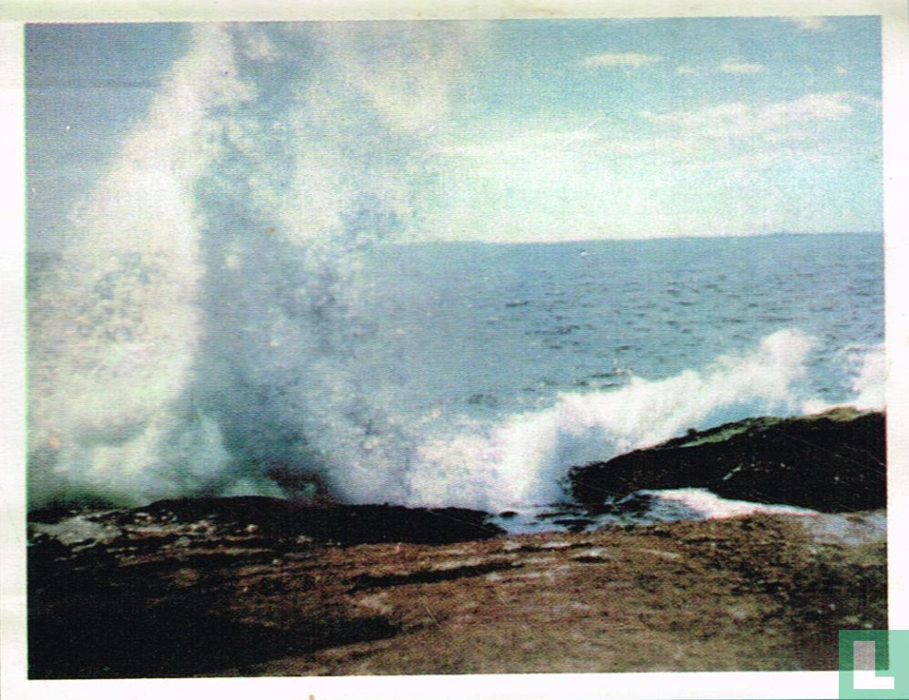 De kust van Acadie