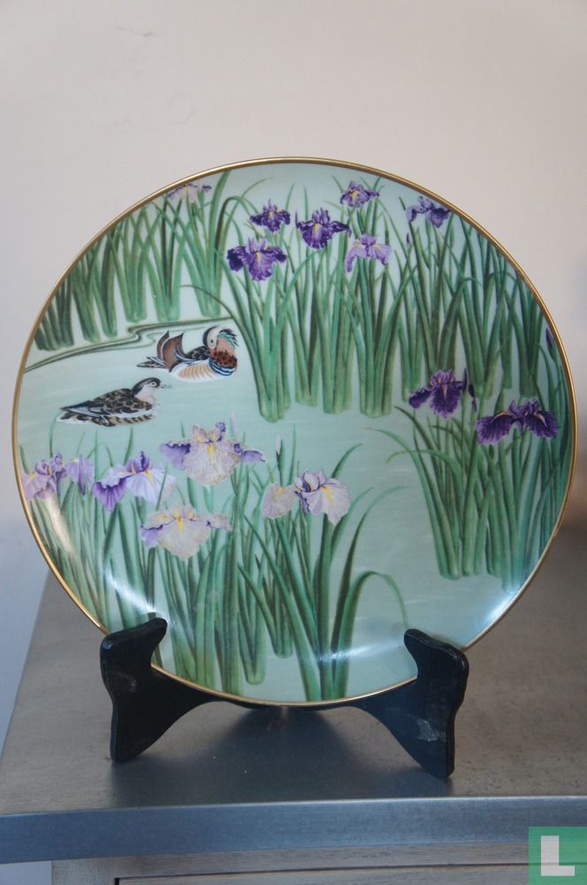 Mandarin Duck and Iris