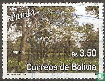 Tourismus - Pando