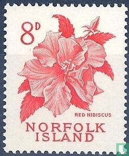 Roter Hibiskus