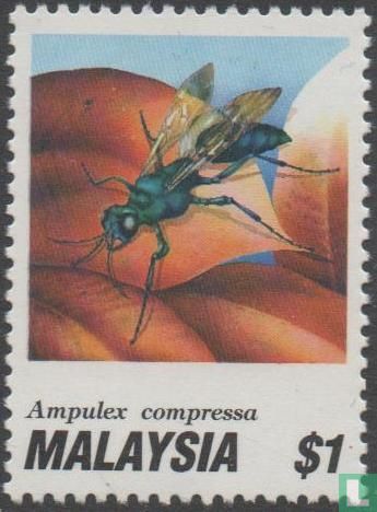 Insects-wasps