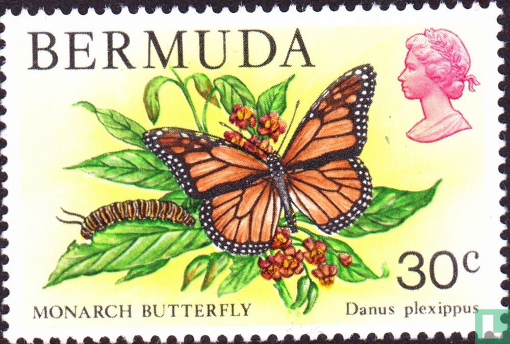 Papillons