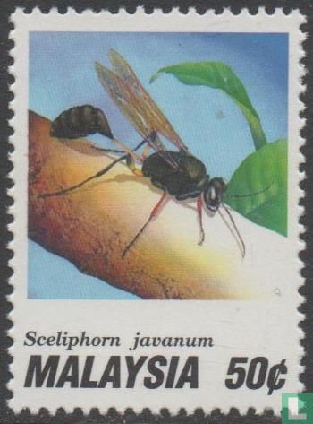 Insects-wasps