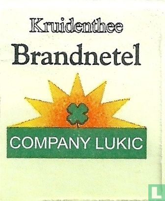 Brandnetel