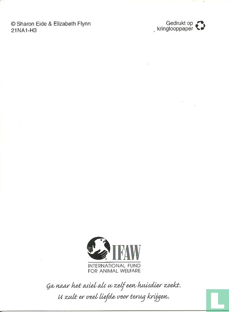 IFAW - Katje (a)