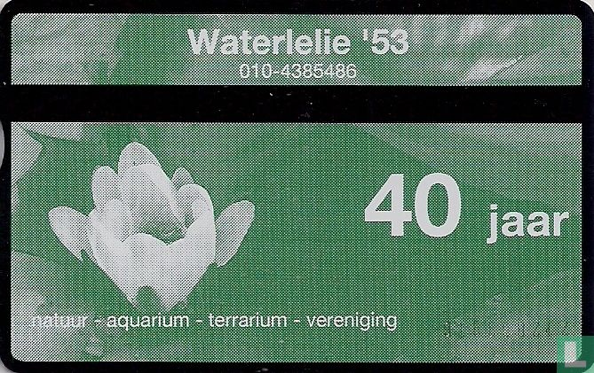 Waterlelie '53