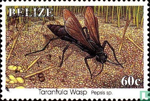Insects