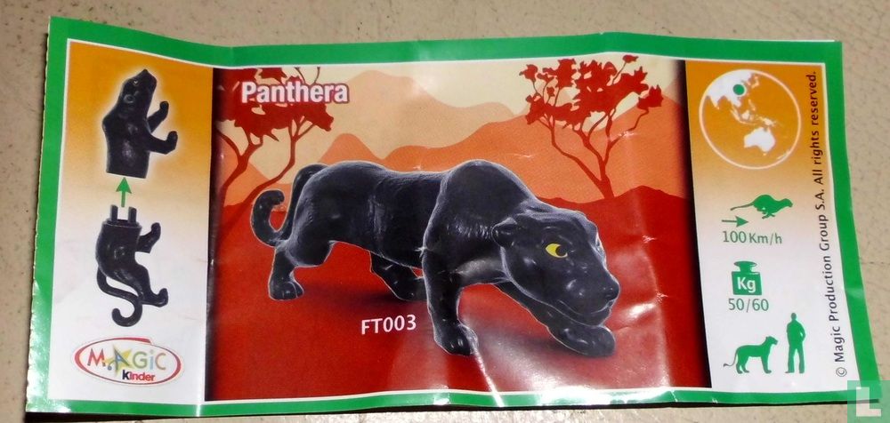 Panthera