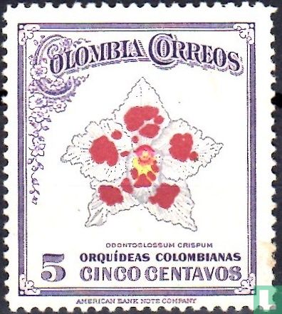 Colombian Orchids