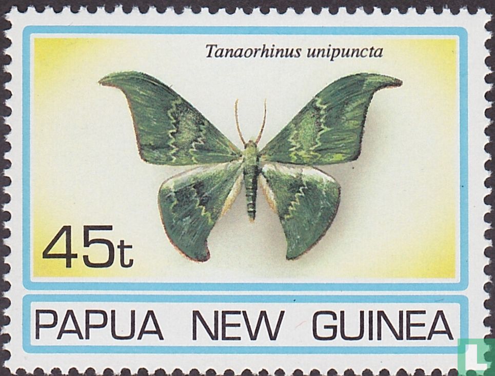 Papillons de nuit 