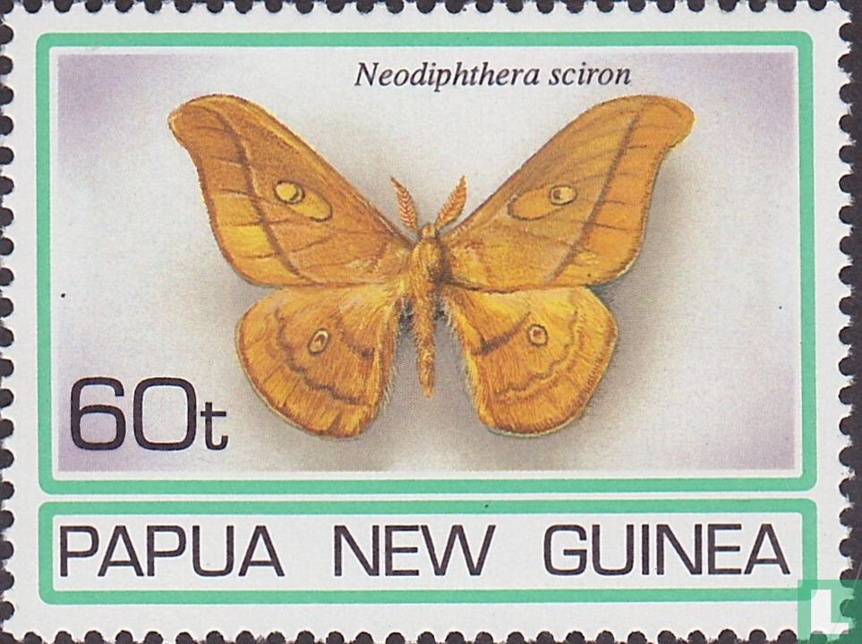 Moths  